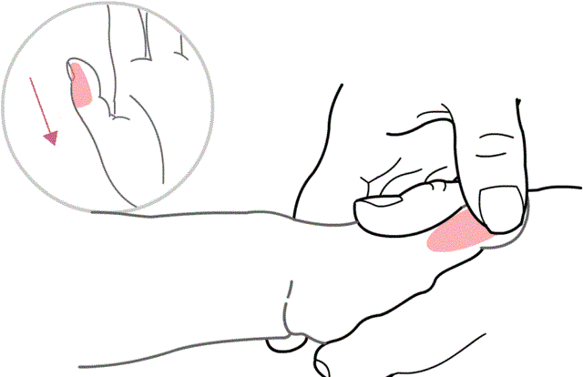 A Collection of 21 Common Pediatric Tuina Techniques with Animated Illustrations: Learning is Endless!