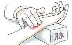 Insights into Pulse Diagnosis: The Deep Pulse