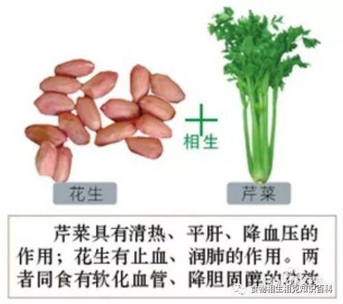 A Comprehensive Guide to Complementary and Contradictory Foods in TCM