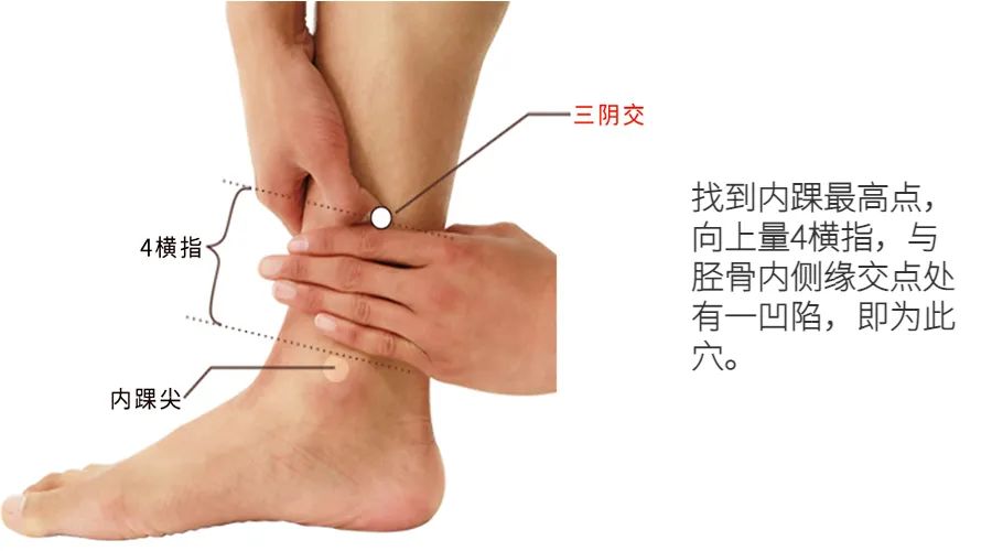 Blood Deficiency: Discover the Causes of Blood Deficiency and Four Acupuncture Points That Are More Effective Than Blood Tonics