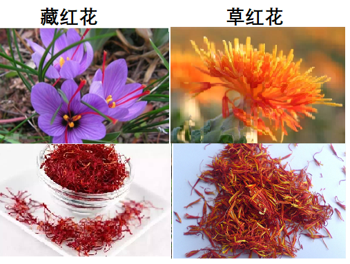 Promoting Blood Circulation and Alleviating Pain with Honghua (Safflower)