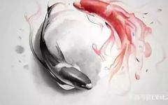 To Achieve Longevity, Balance Yin and Yang! (Including Sixteen Methods for Nourishing Yin and Yang)