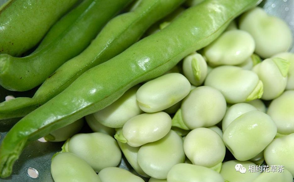 Health Benefits of Various Beans in Traditional Chinese Medicine (Part 2)
