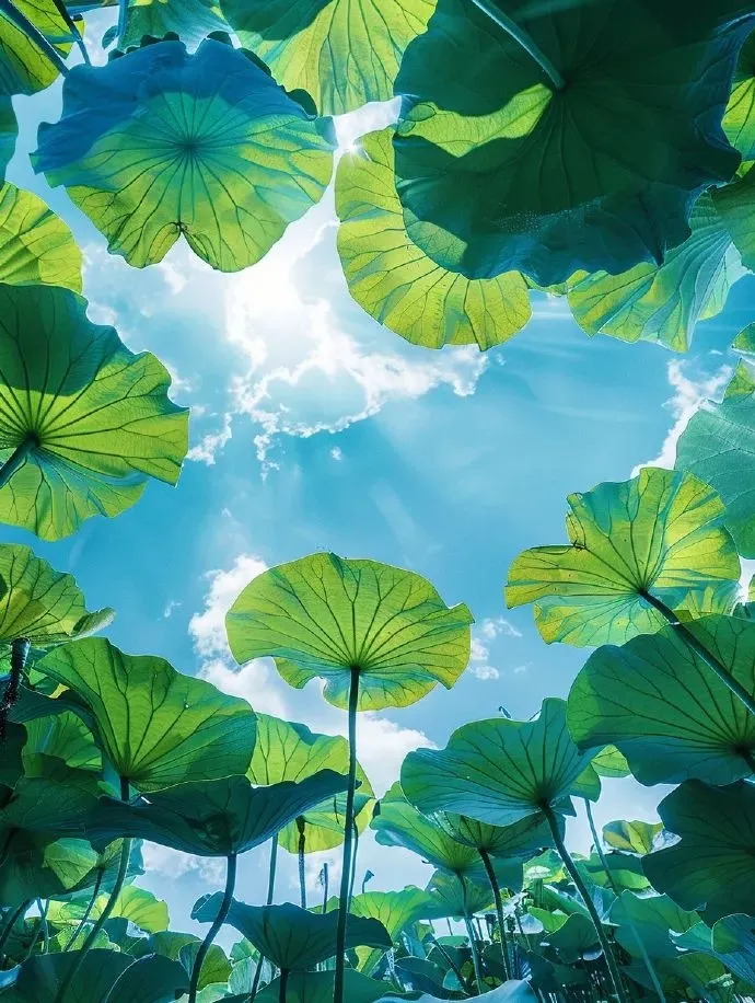 15 Health Tips for Daily Wellness: Learn a Little Each Day for Better Health