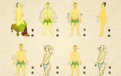 The Eight Extraordinary Meridians: A Major Remedy for Comprehensive Healing, Including Diagrams!