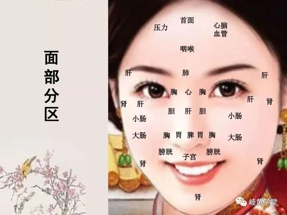 The Most Comprehensive and Systematic Methods of Observation Diagnosis in TCM