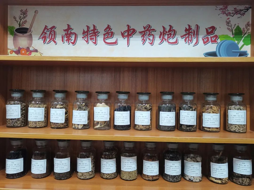 Lingnan Specialty Processing | The King of Gramineae, a Small Powerhouse for Dampness Removal