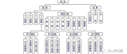 An Overview of Meridians in Traditional Chinese Medicine