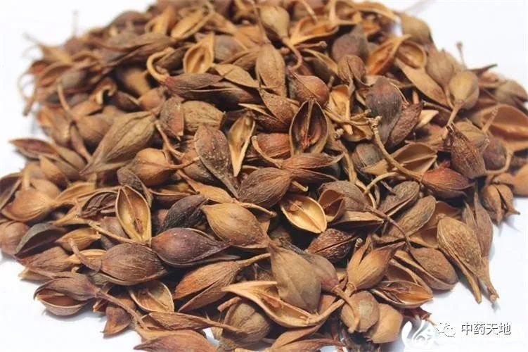 Clearing Heat and Detoxifying Herbs