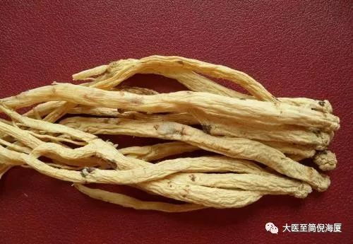 Understanding Chinese Herbal Medicine: Dang Shen (Codonopsis pilosula)