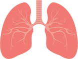 The Four Major Deficiencies in Traditional Chinese Medicine: Laziness Indicates Qi Deficiency, Acne Indicates Yin Deficiency, Hair Loss Indicates Blood Deficiency, and Cold Sensitivity Indicates Yang Deficiency - TCM's Diagnostic and Regulative Approach!