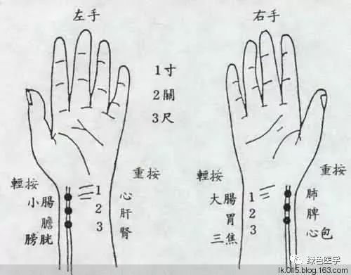 Summary of Pulse Diagnosis in Traditional Chinese Medicine