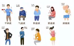 The Nine Types of Constitutions in Traditional Chinese Medicine and Their Health Preservation Methods: Which One Are You?