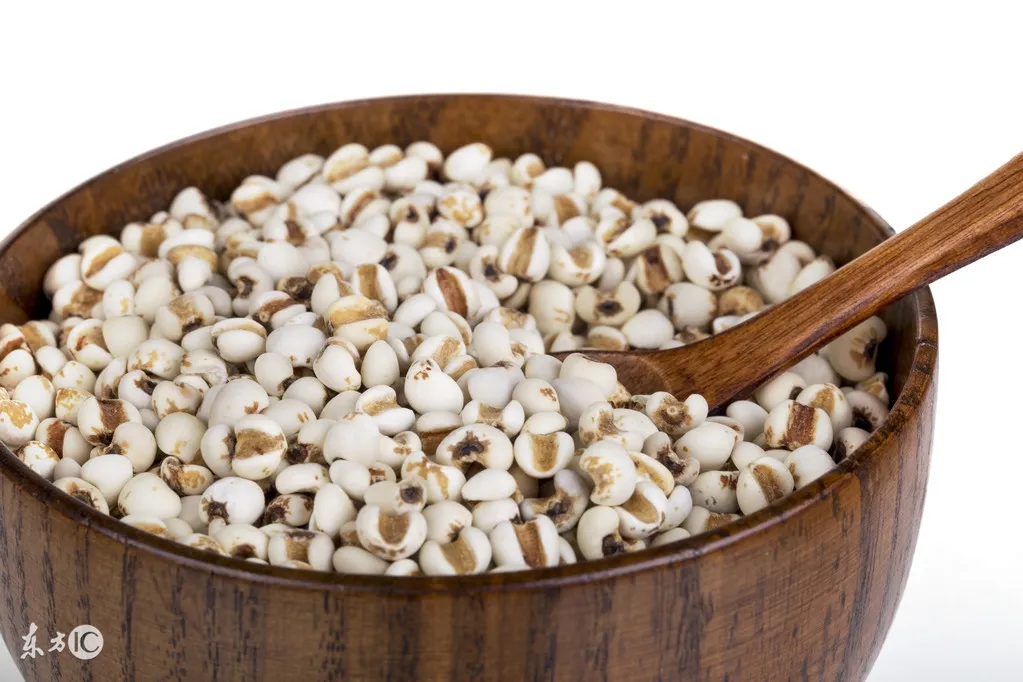 Traditional Chinese Medicine: The 5 Benefits and Effects of Coix Seed (Yi Yi Ren) and Its Side Effects