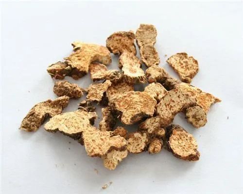 Differences in Efficacy Between Cang Zhu and Bai Zhu