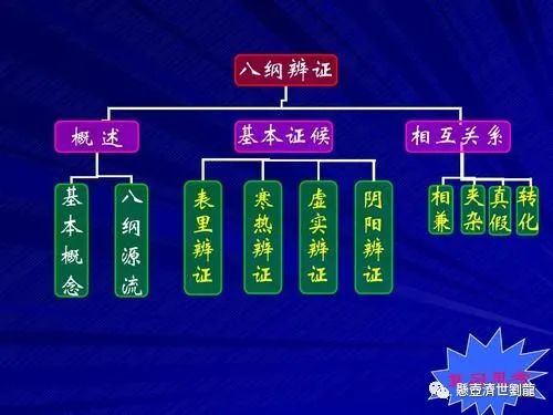 The Significance of the Eight Principles in TCM Diagnosis