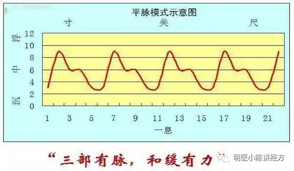 Lecture 130 - Understanding the Pulse of Xiao Chai Hu