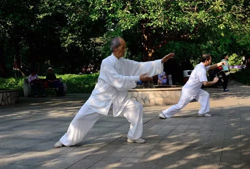 Practical Tai Chi Training Tips from Experienced Practitioners