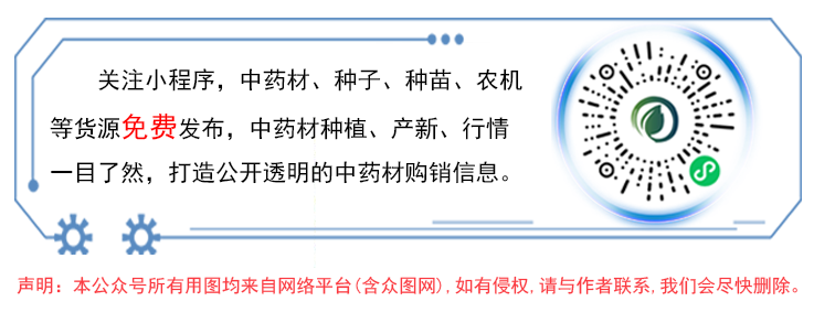 Overview of Astragalus (Huang Qi)