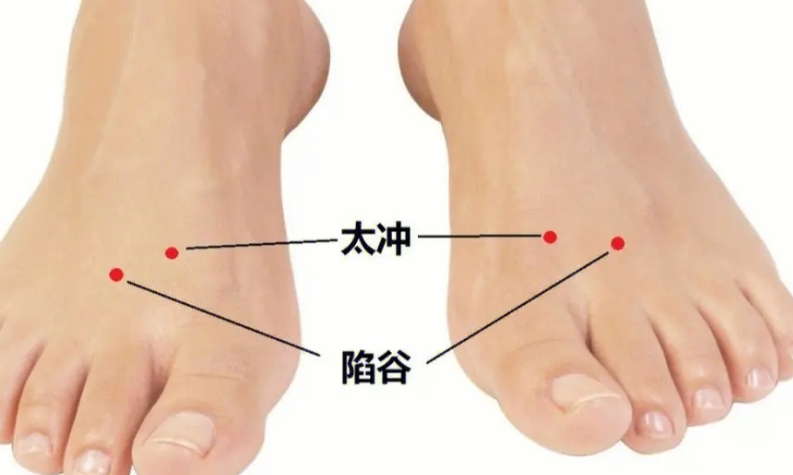 Understanding TCM Body Constitutions and Health Preservation