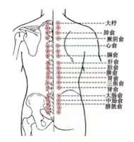 The Benefits and Precautions of Back Gua Sha: What You Should Know