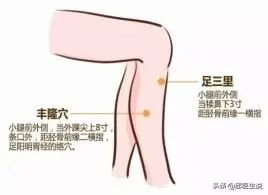 Understanding Different Types of Dampness in Traditional Chinese Medicine: Cold Damp, Damp Heat, Phlegm Damp, and More