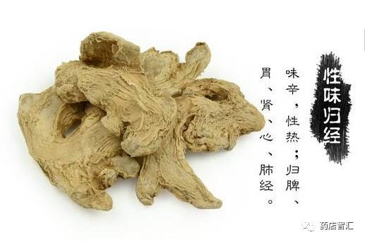 Dried Ginger (Gan Jiang) in Traditional Chinese Medicine