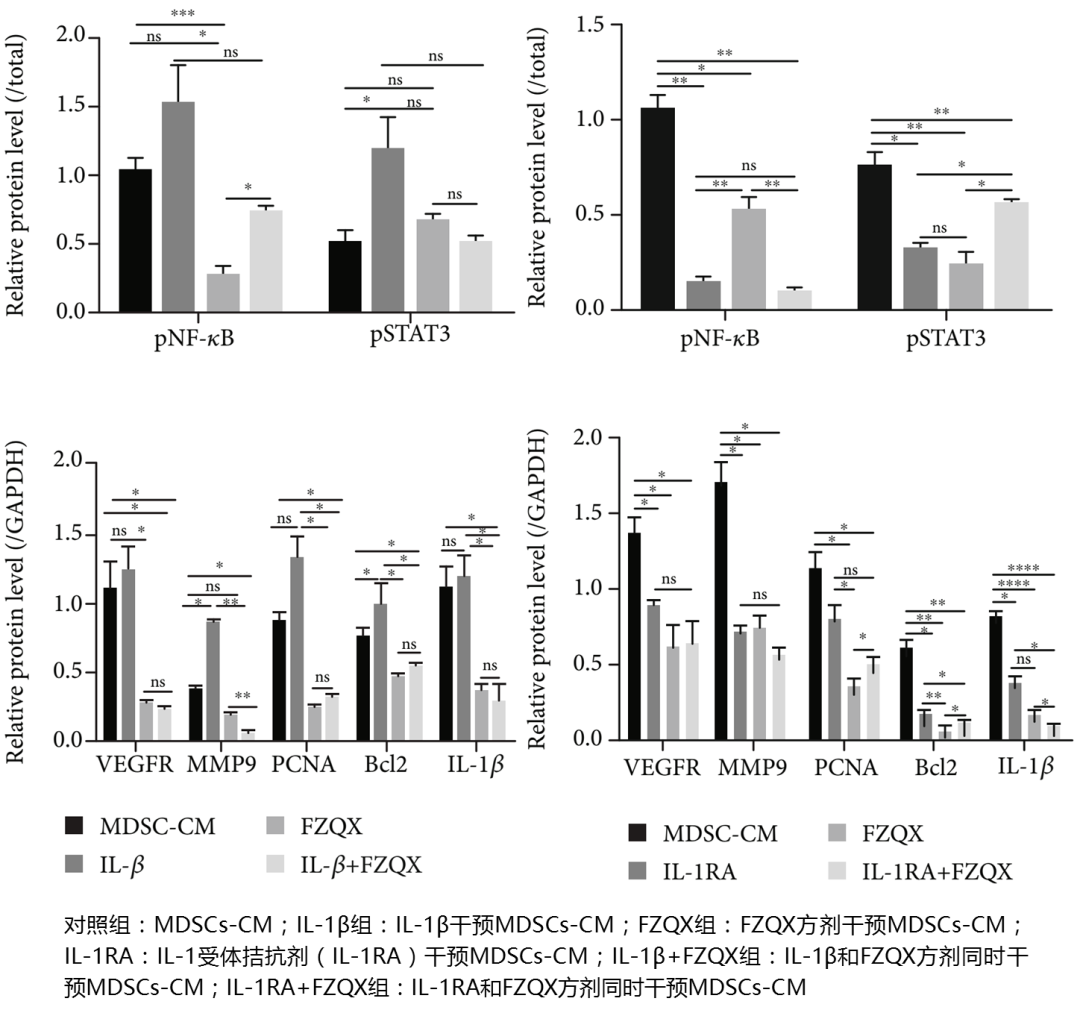 Fu Zheng Qu Xie Formula: A Clinical Study on Preventing Recurrence and Metastasis of Early-Stage Lung Adenocarcinoma