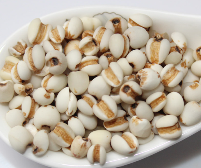 Knowledge of Medicinal Foods - Coix Seed (Yi Ren)