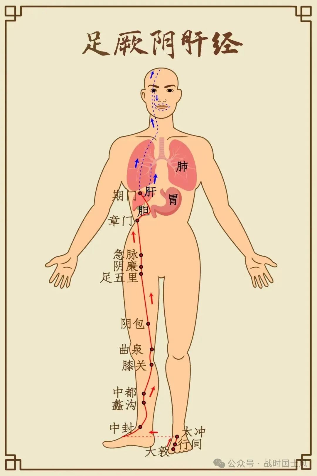 Acupuncture Points for Liver Qi Stagnation