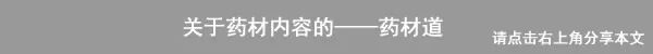 Why Has the Price of Cang Zhu (Atractylodes) Rebounded?