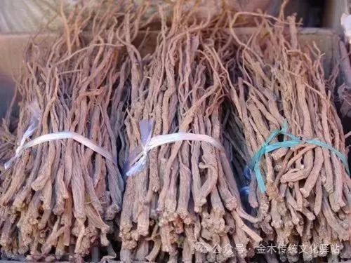 Introduction to Dang Shen (Codonopsis pilosula): Benefits and Usage