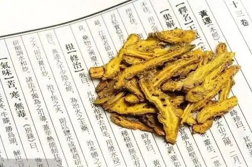 The Efficacy and Functions of Huang Lian (Coptis chinensis)