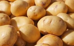 Foods That Should Not Be Eaten Together: Important Dietary Considerations