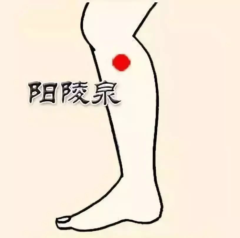 Essential Knowledge of Traditional Chinese Medicine You Must Understand
