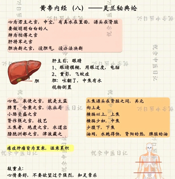 Mind Map of the Huangdi Neijing (Essential Content)