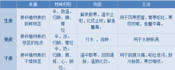 The Differences in Efficacy Between Fresh Ginger and Dried Ginger