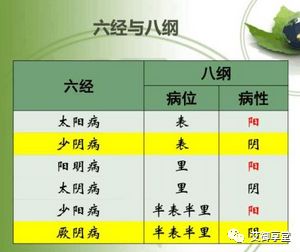 The Relationship Between the Eight Principles and the Six Meridians in TCM