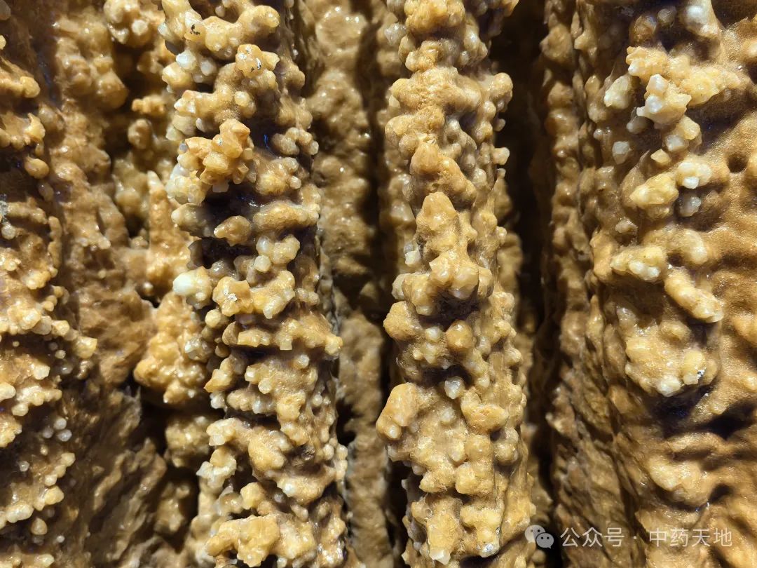 Stalactite in Traditional Chinese Medicine