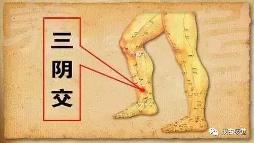 Common Deficiency Syndromes of the Five Organs (Yin, Yang, Qi, Blood) and Their Treatment Methods