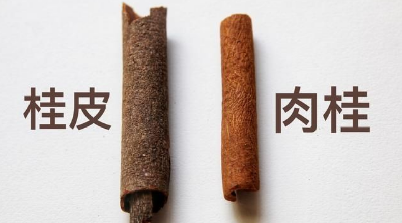 The Health Benefits of Cinnamon: Enhancing Memory and Improving Blood Lipids
