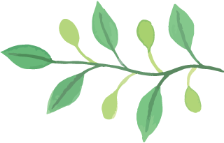 The Benefits of Coix Seed: Awakening the Spleen and Transforming Dampness