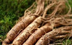 What Are the Methods of Consuming Fresh Ginseng? The Benefits of Fresh Ginseng That Many People Need!