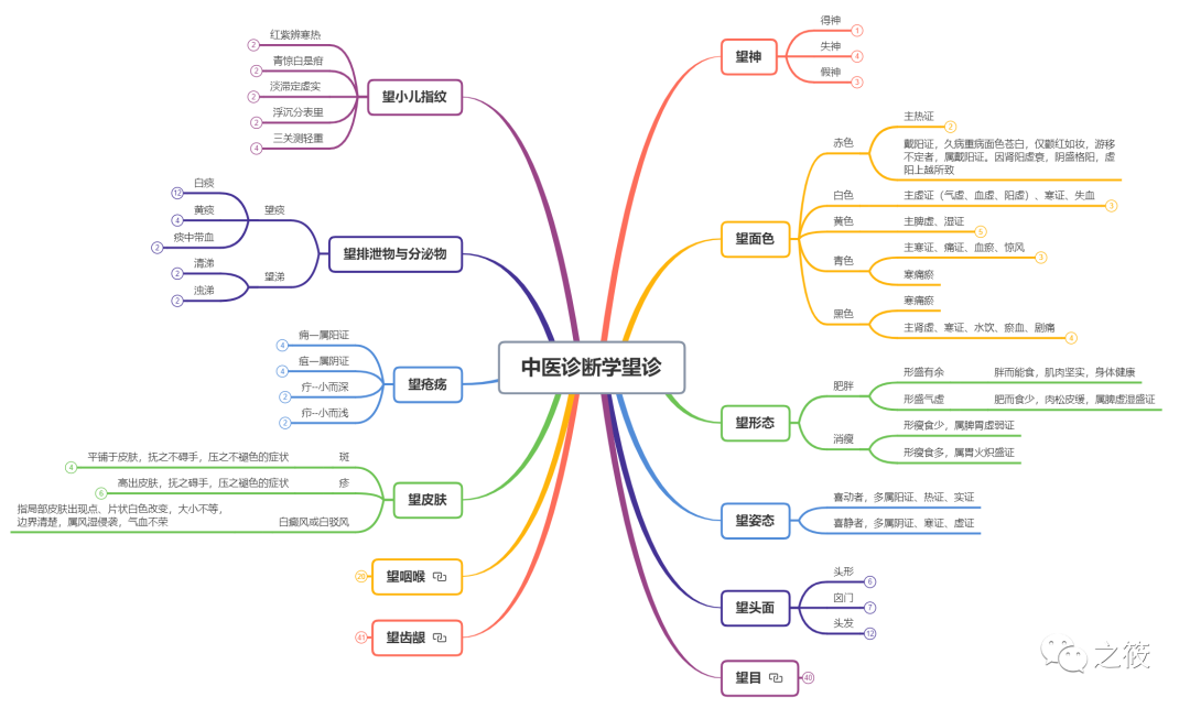 Observational Diagnosis in Traditional Chinese Medicine: Comprehensive Notes