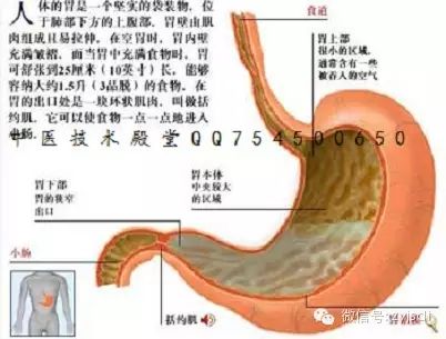 Symptoms and Management of Spleen and Stomach Yang Deficiency