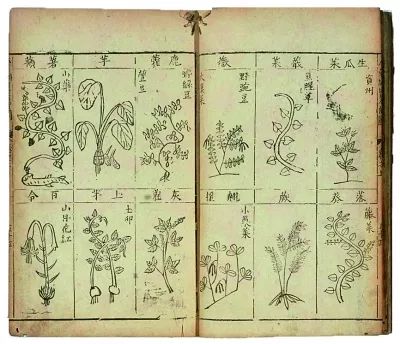 Introduction to Different Versions of the Compendium of Materia Medica