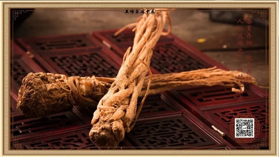 A TCM Perspective: The Impact of Liver and Gallbladder Damp-Heat on the Whole Body, A Formula for Dampness Elimination and Detoxification