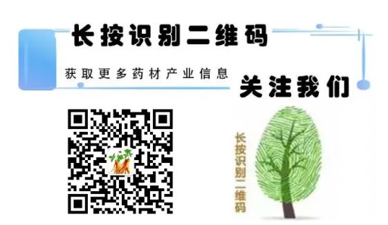 Identification of Chinese Medicinal Materials