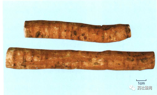 Traditional Chinese Medicine Herb - Bai Shao (White Peony Root)