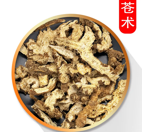The Differences Between Cang Zhu (Atractylodes lancea) and Bai Zhu (White Atractylodes)